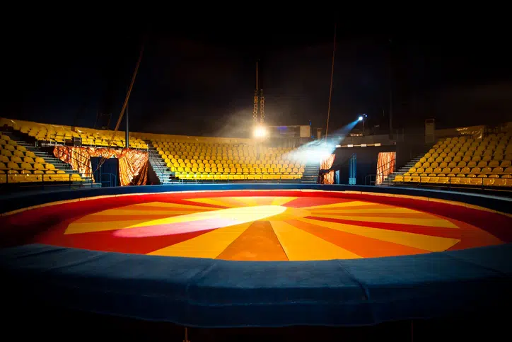 Uitjes-in-de-kerstvakantie-Kerstcircus