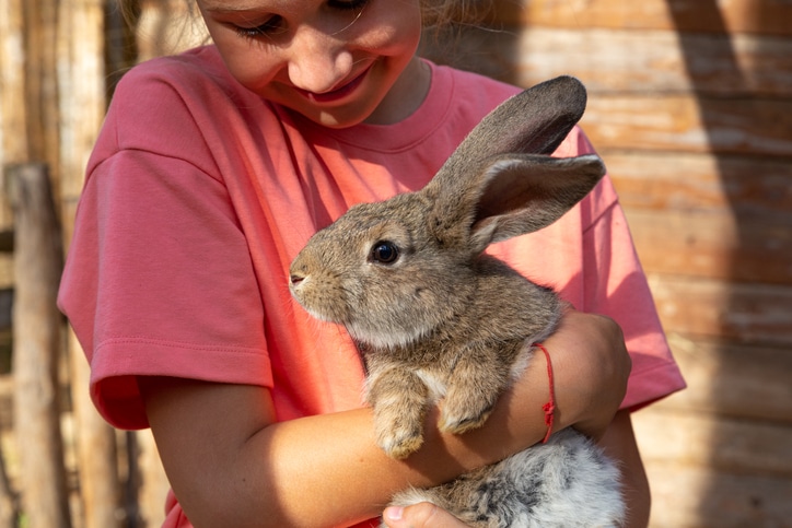 leuke uitjes in maastricht - kind houdt konijn vast