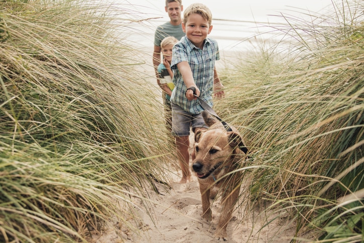 gezin met hond wandelt door de duinen - leukste stranden