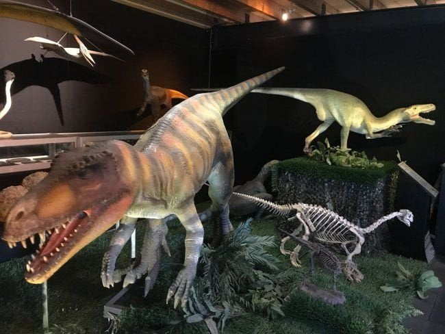 dinomuseum oertijdmuseum boxtel levensgrote dino's