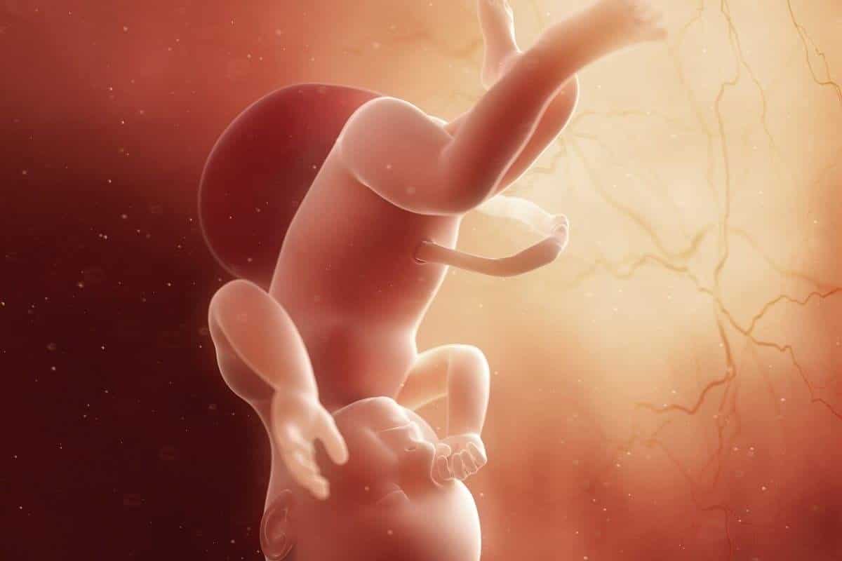 foetus-41-weken-zwanger