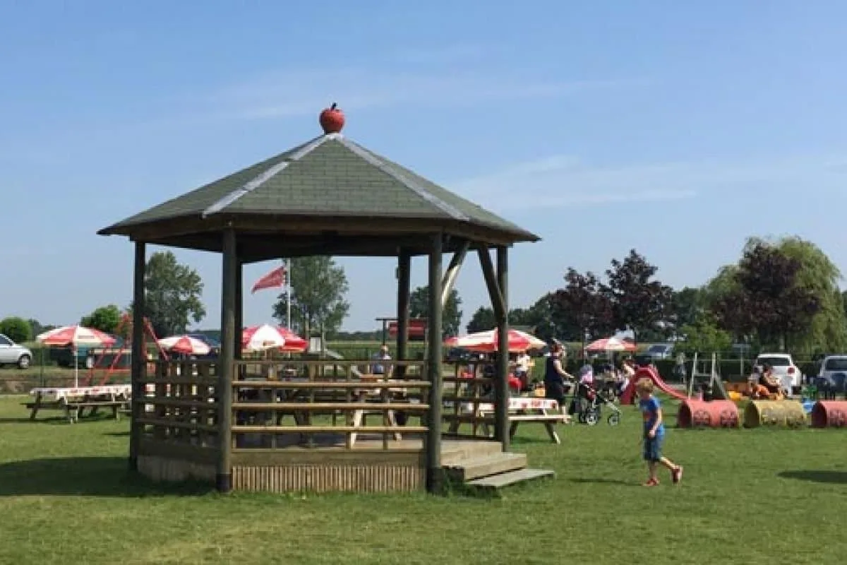 Aardbeienterras in Rijsbergen
