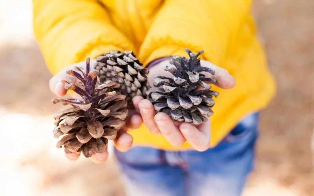 Herdenken en herinneren met kinderen in de herfst