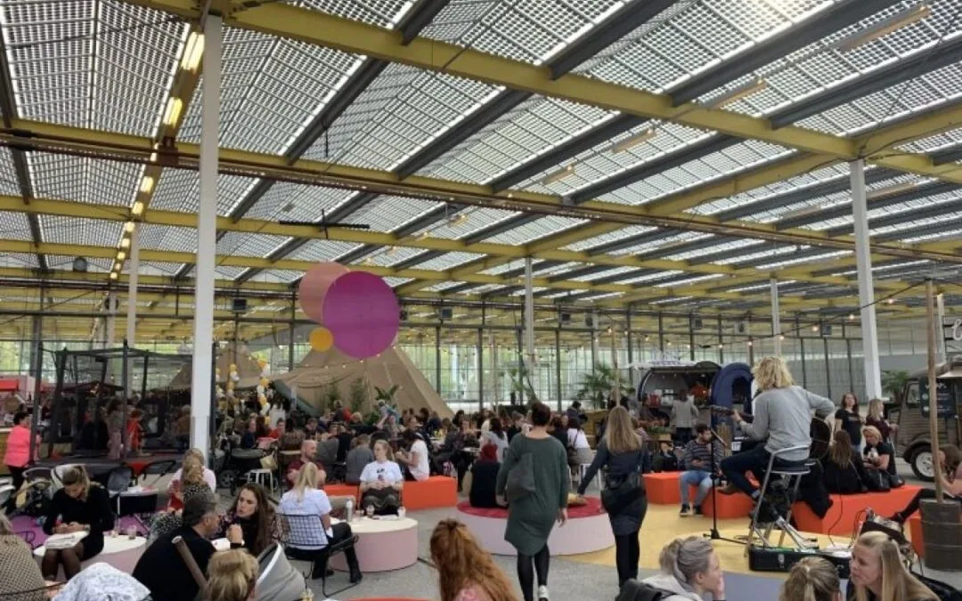 In de wolken festival 2019