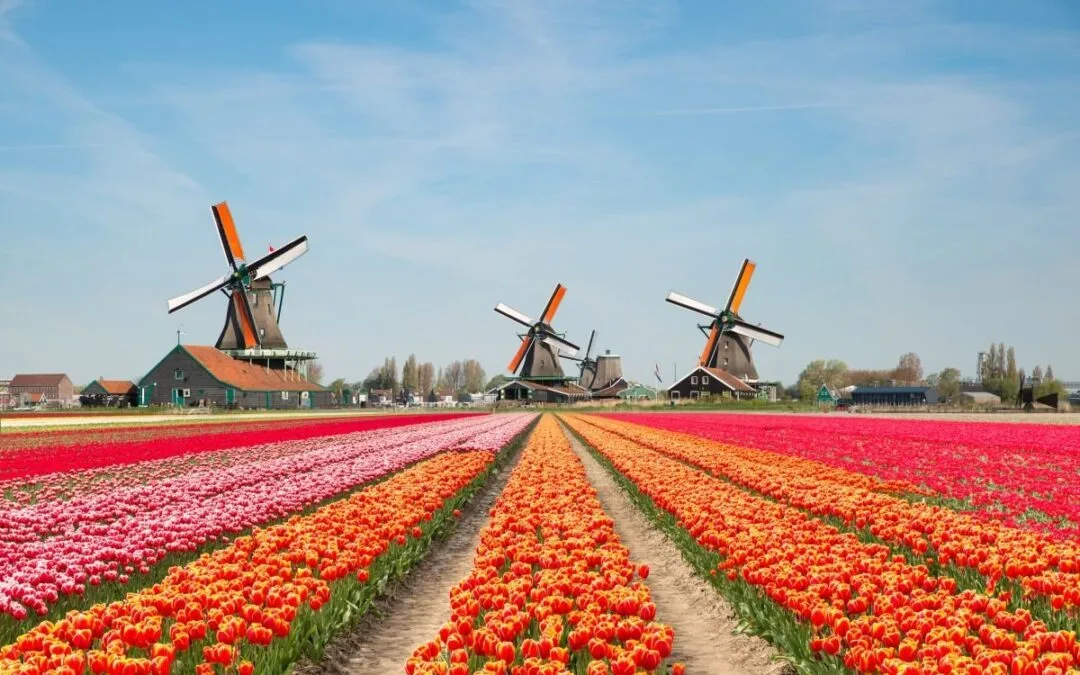 7 meest toeristische steden in Nederland