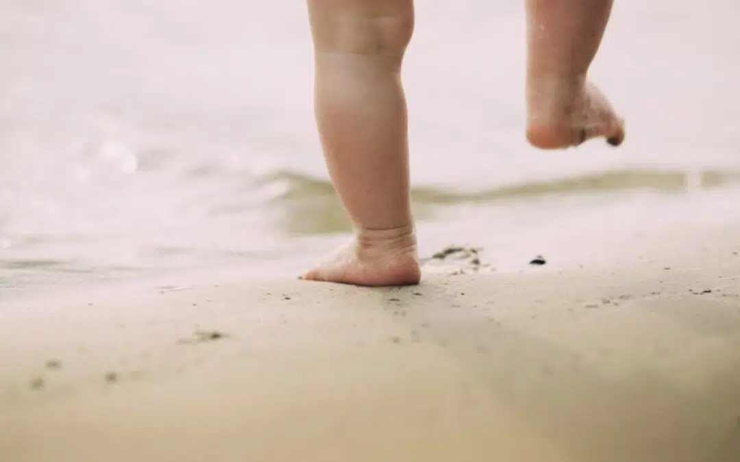 Dagje uit met kinderen in Zuid-Holland