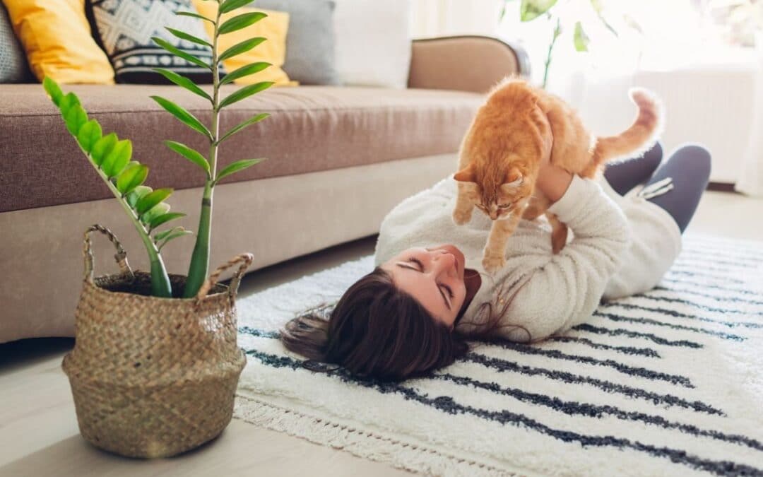 Huishoudtip: de geur van kattenpis te verwijderen