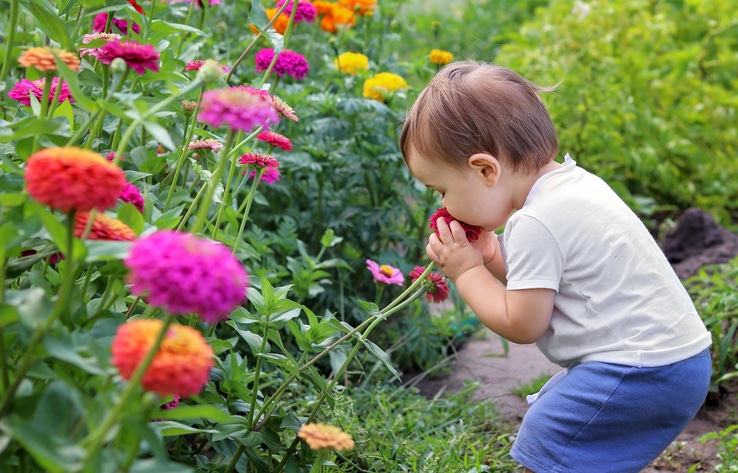 gezinsuitbreiding - peuter ruikt aan bloem in de tuin