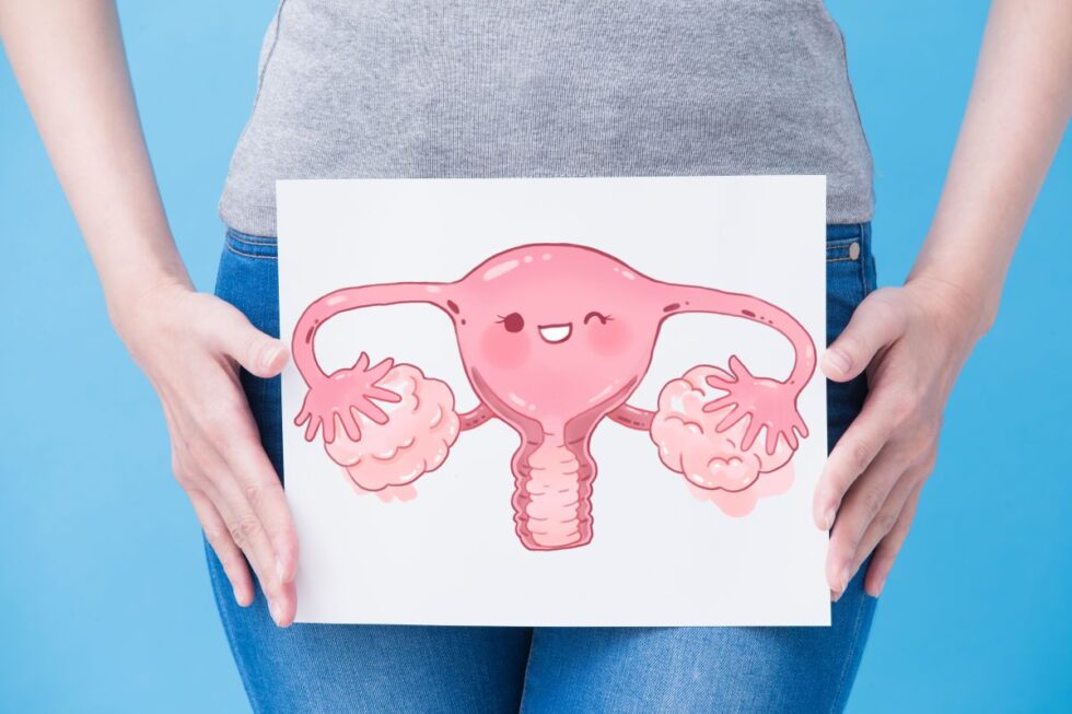 Alles over je baarmoeder rondom de zwangerschap Meer Voor Mama’s Zwanger