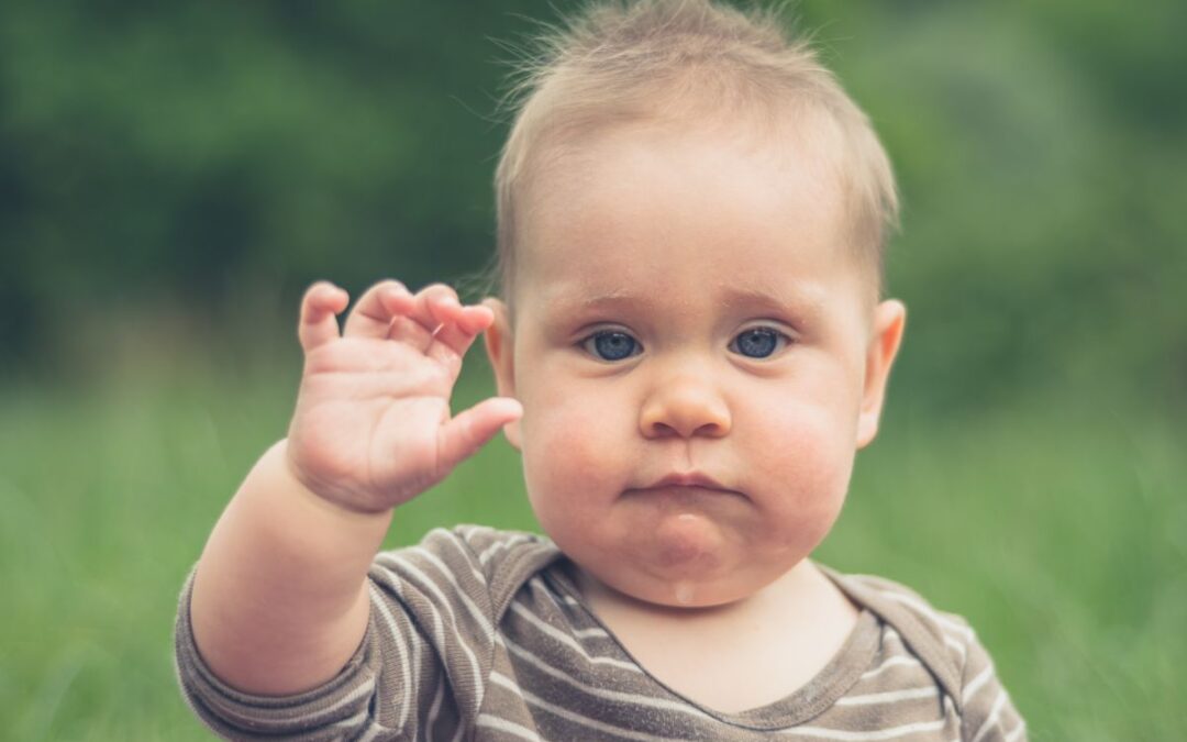 Babygebaren: klappen, zwaaien en wijzen