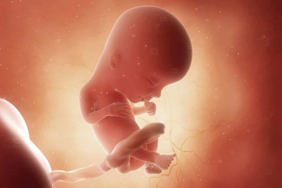 13 weken zwanger Meer Voor Mama’s Zwanger