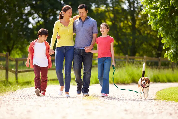 Hoe zorg je er voor dat je hond gezond blijft?
