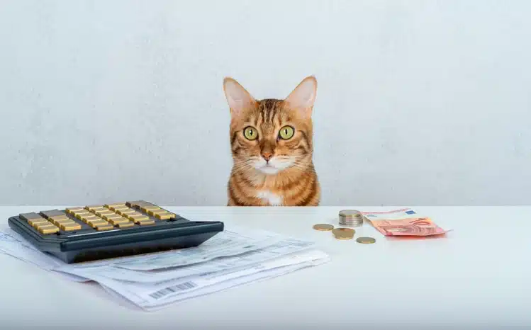 Mijn kind wil een huisdier, wat gaat dat kosten?
