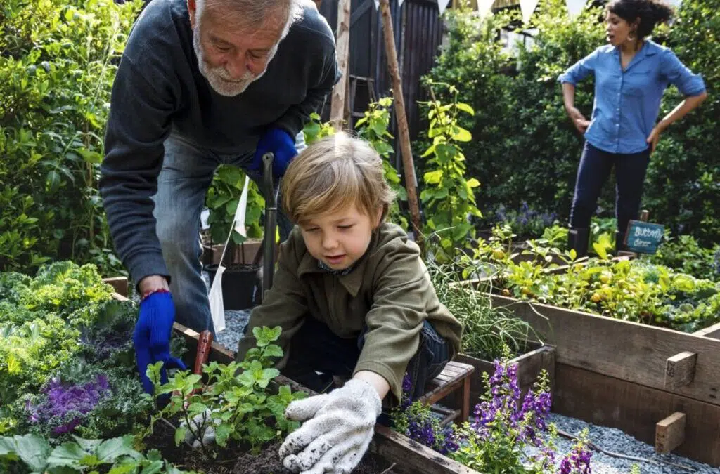 6 leuke activiteiten als je een kleine tuin hebt