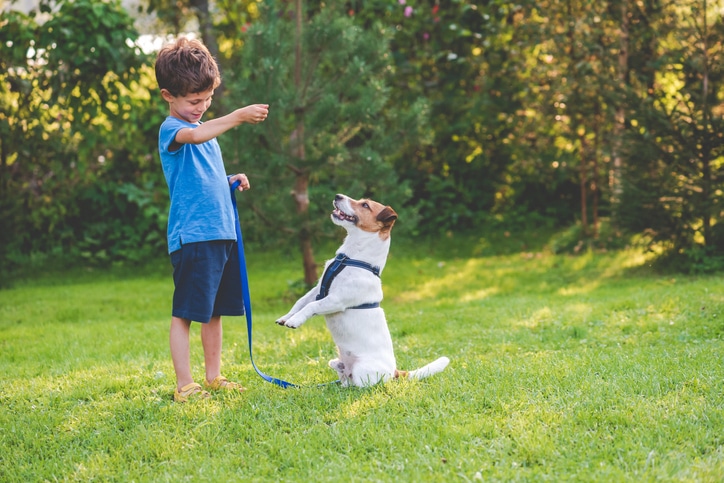 Hoe je jouw kind leert veilig met honden om te gaan