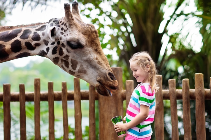 De leukste 7 dierentuinen in Nederland