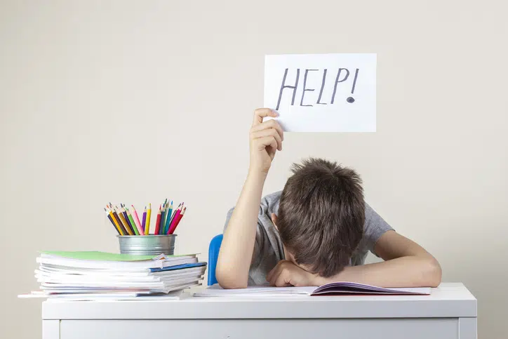 Alles over de entreetoets voor groep 5, 6 en 7