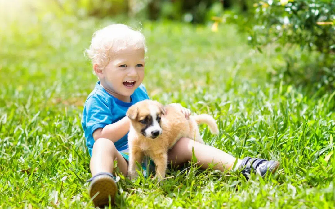 Objectpermanentie: een sprongetje in je baby’s geheugen.