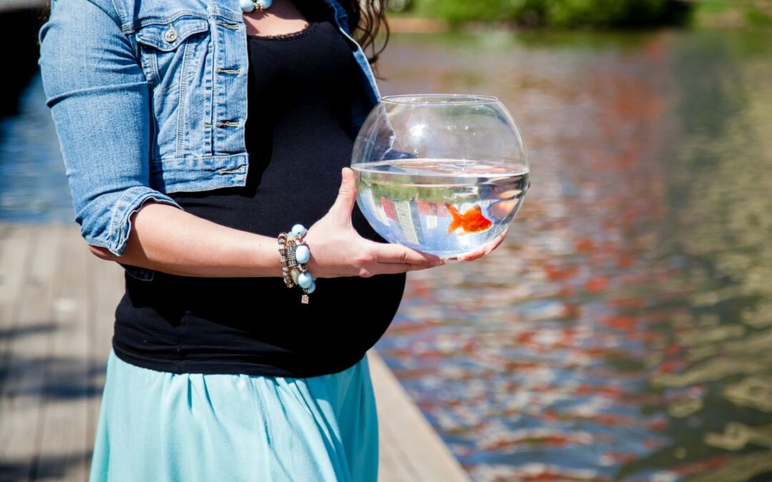 Vis tijdens je zwangerschap: welke mag je nu wel en welke niet?