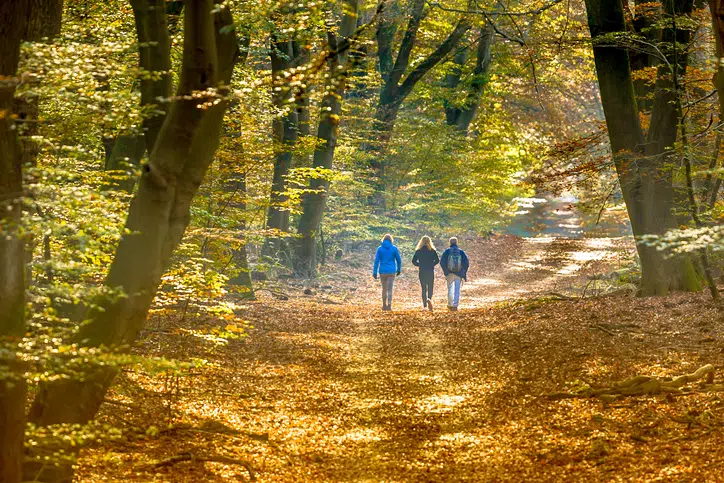 Wandelen; een fijn moment om even bij te praten
