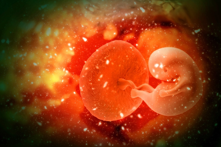 moederkoek in de baarmoeder