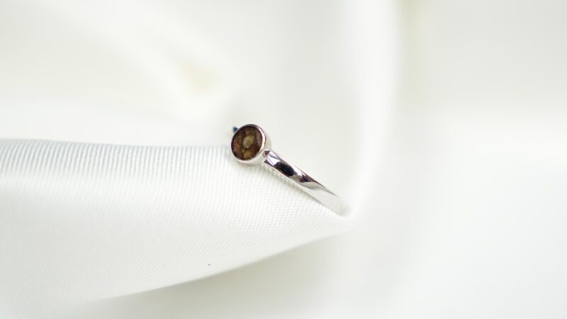 Herinneringssieraden voor huisdieren