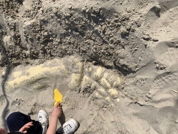 dino-skelet-opgraven