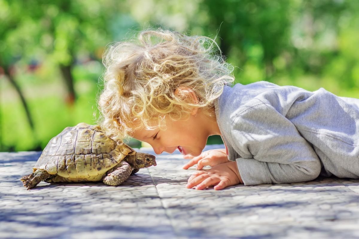 schildpad-als-huisdier-met-kind